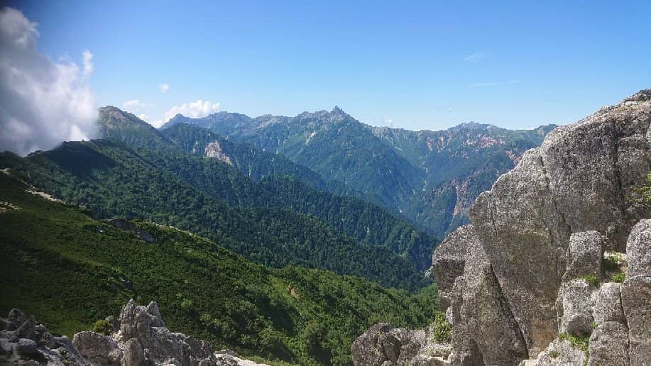 Colorful Alpine Flora