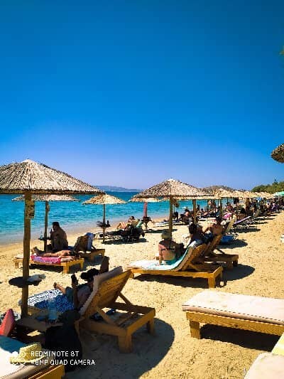 Vibrant Atmosphere and Design