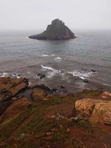 Tranquil Green Space