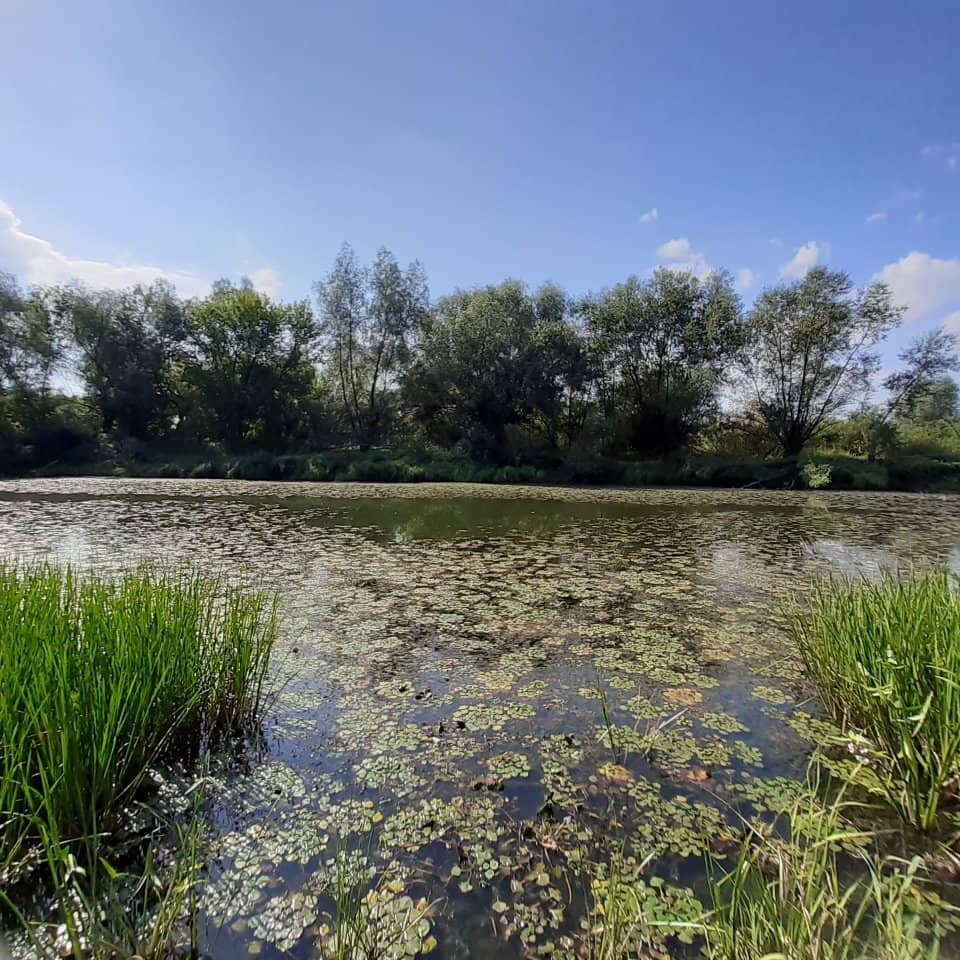 Ancient Hill Formations