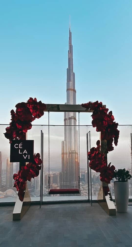 Vertical photo