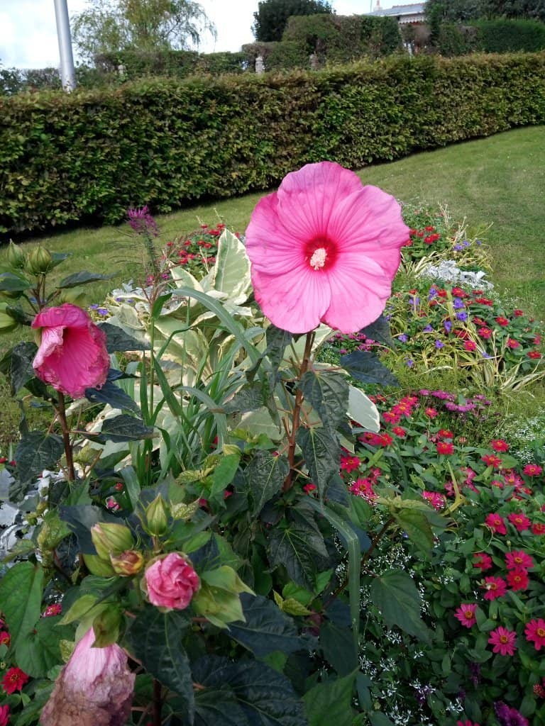 Poet's Garden