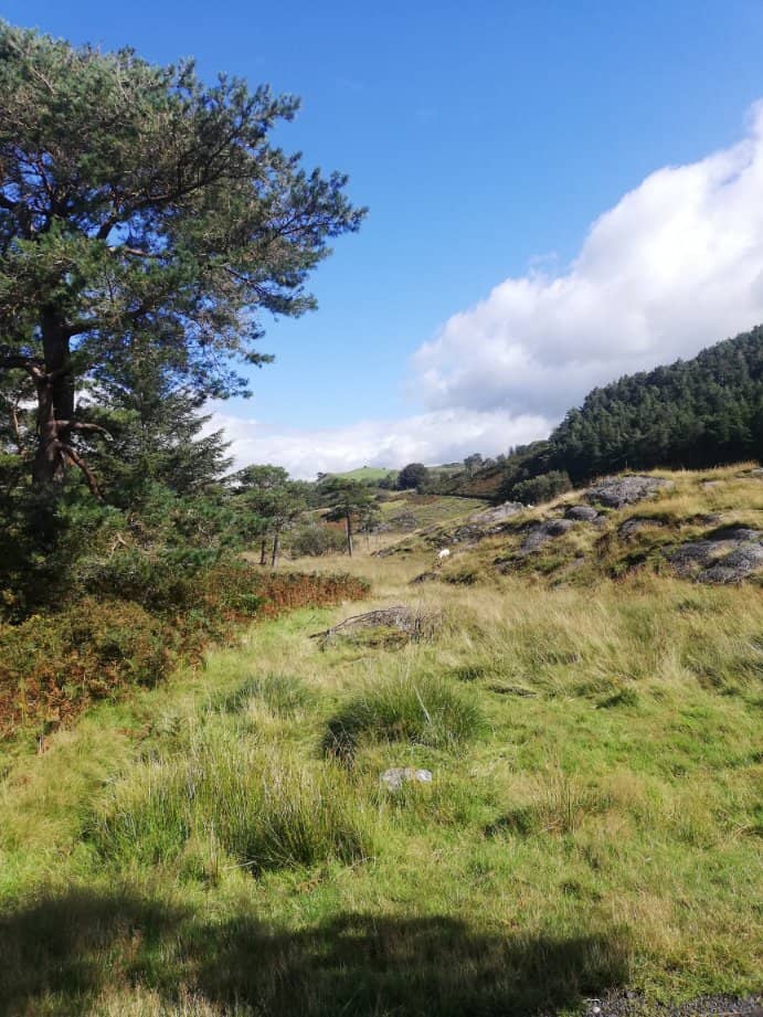 Hidden Cave Exploration