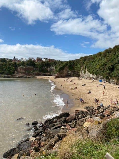 Rock Pool Discoveries
