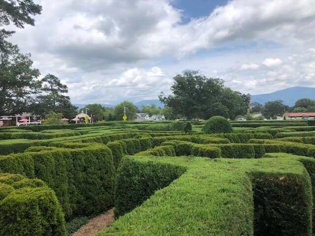 Hidden Clues and Jokes