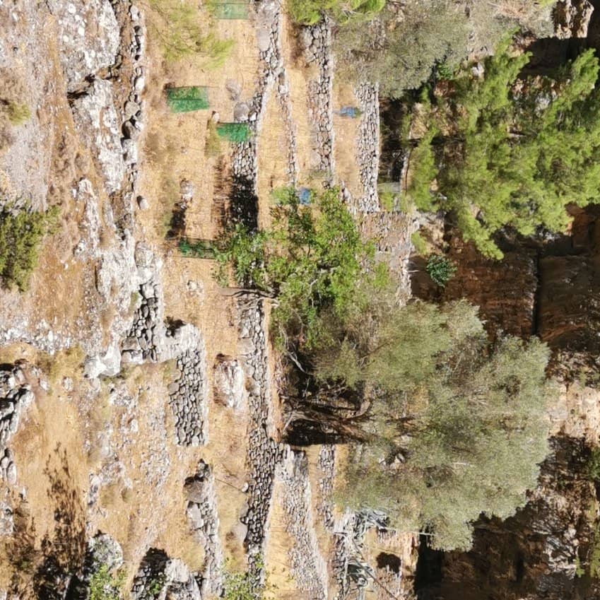 Red and White Trail Markers