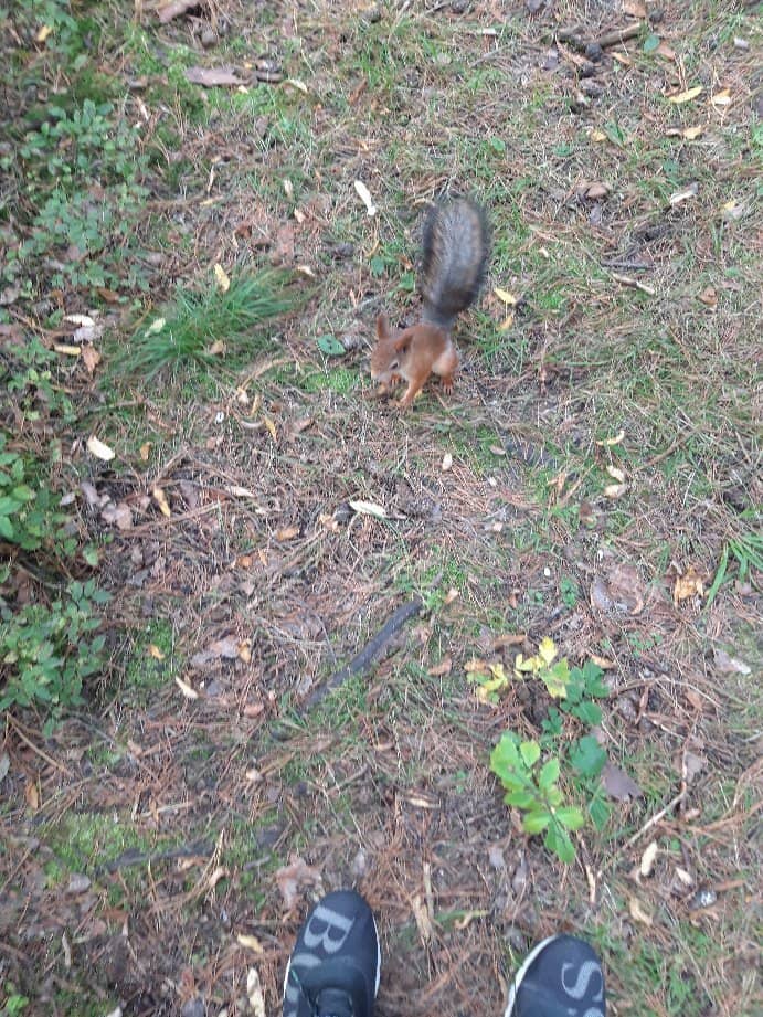 Sports & Recreation Hub