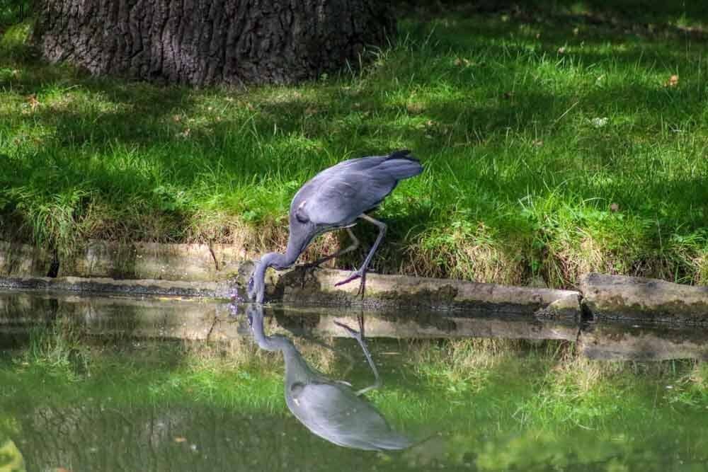 Neo-Classical Architecture