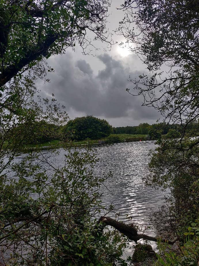 Blake Family History