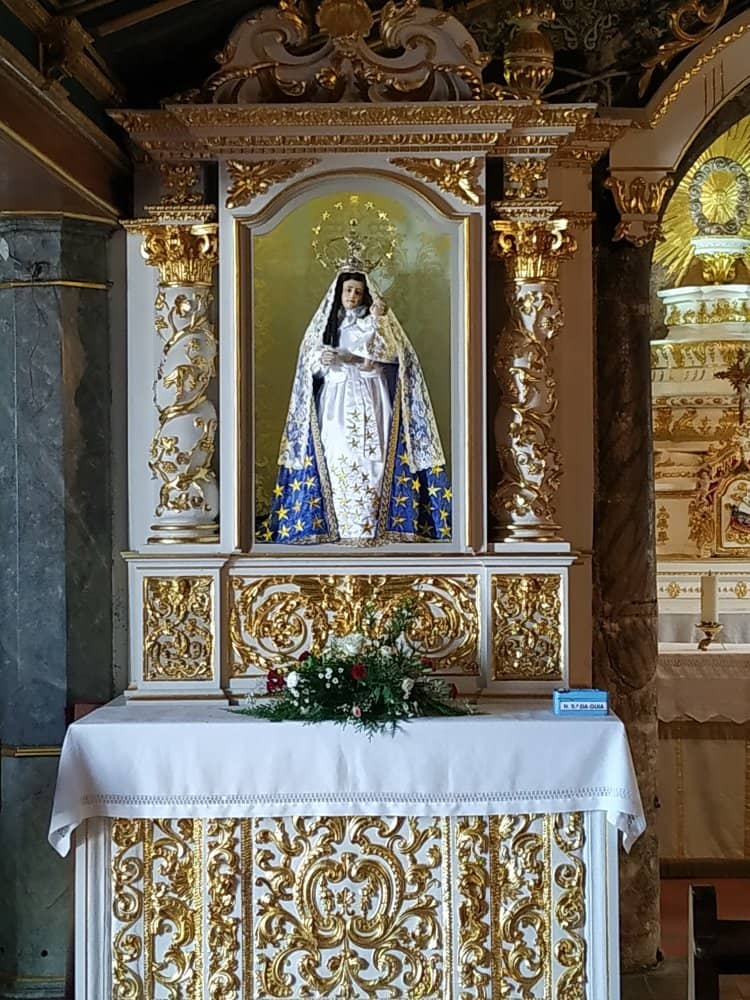 Tranquil Garden Oasis