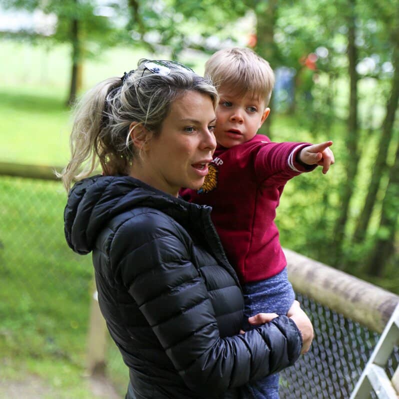 Zoo Lights Holiday Spectacle