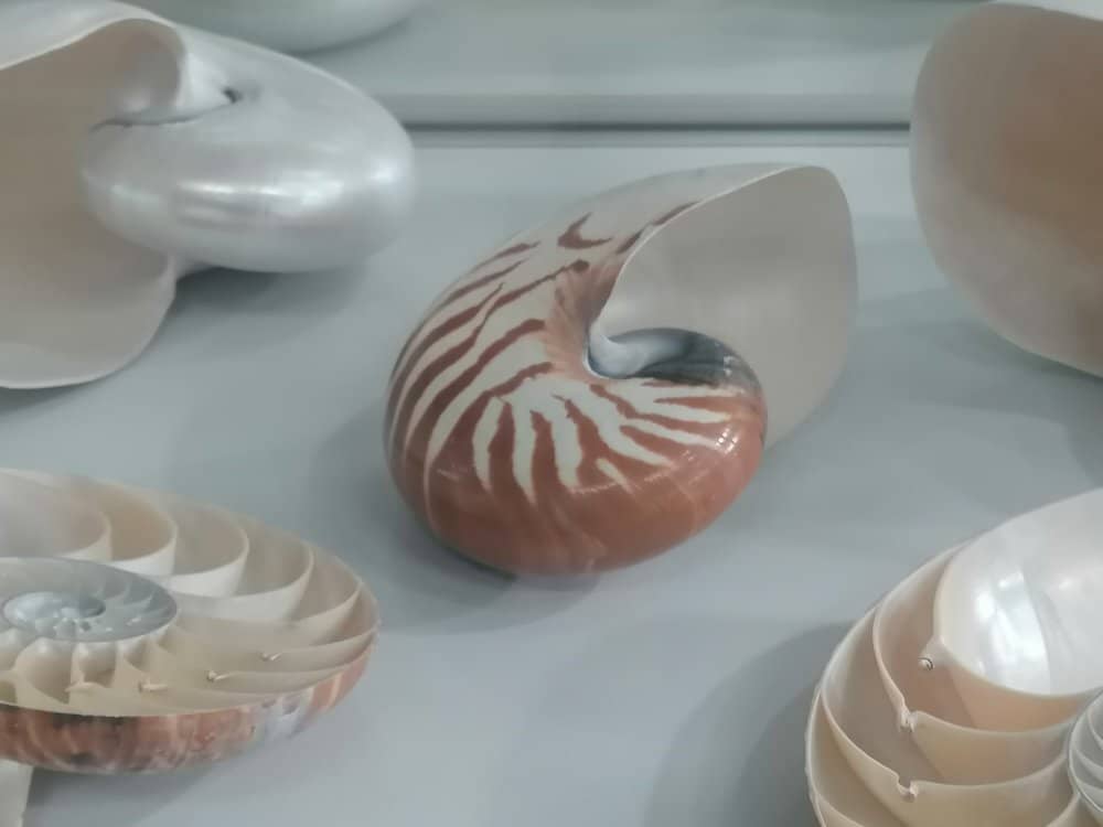 Maritime History Exhibits