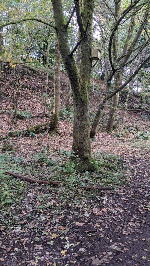 Mugdock Castle Ruins