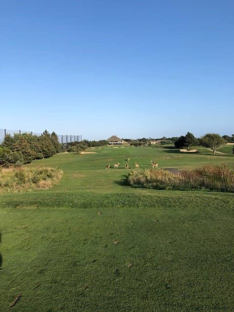 Third hero image