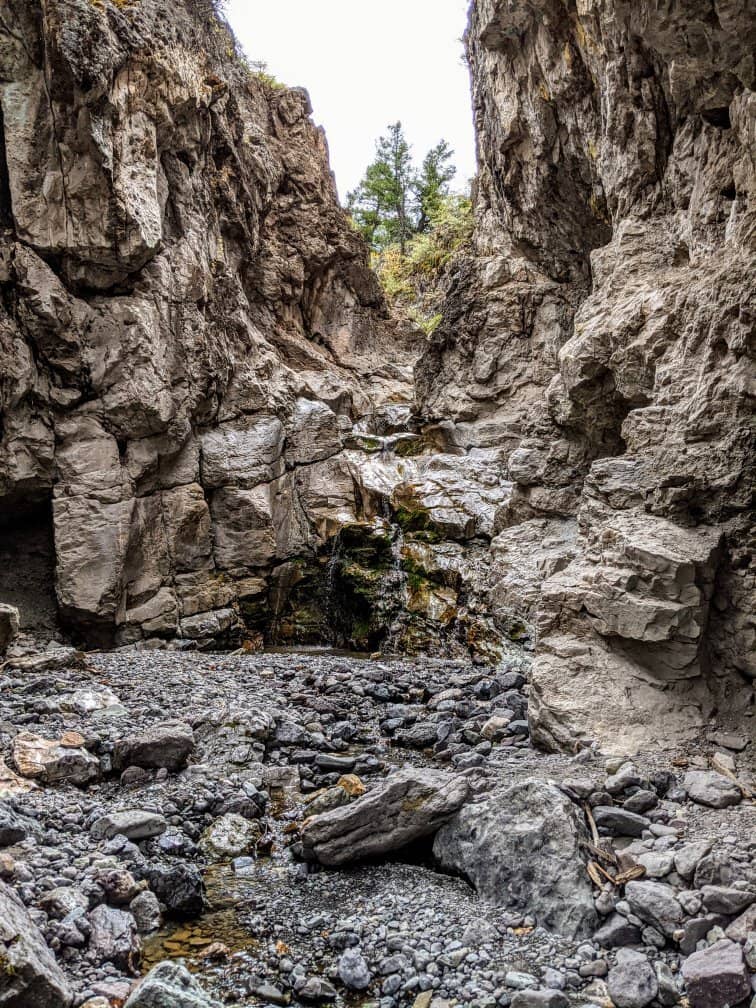 Creek Stomping Adventure