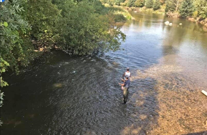 Credit River Views