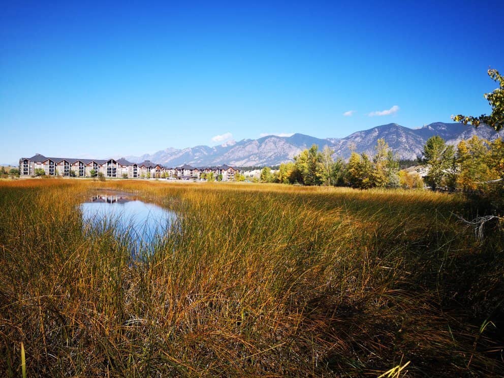 Playground & Sports Facilities