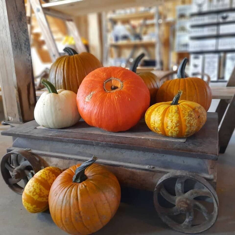 Panoramic Valley Views