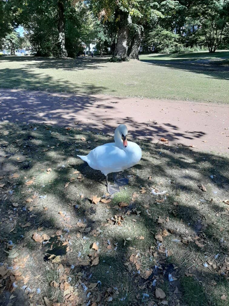 Community Events & Music