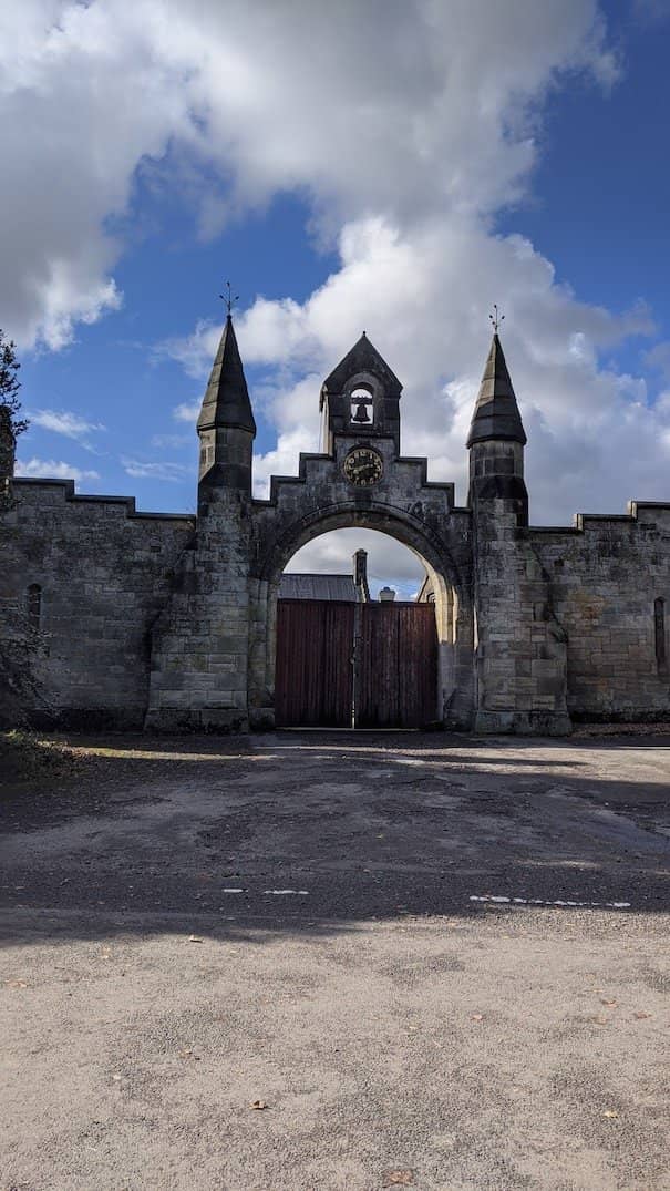 Duck Pond & Wildlife