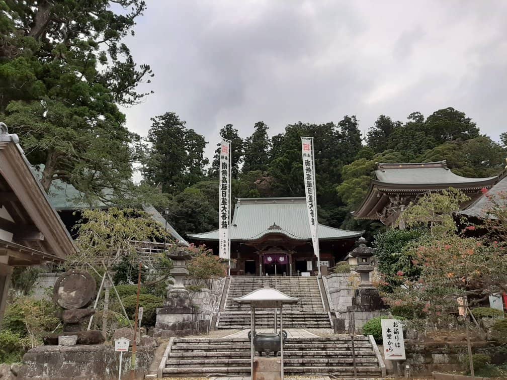 Koi Pond Reflections