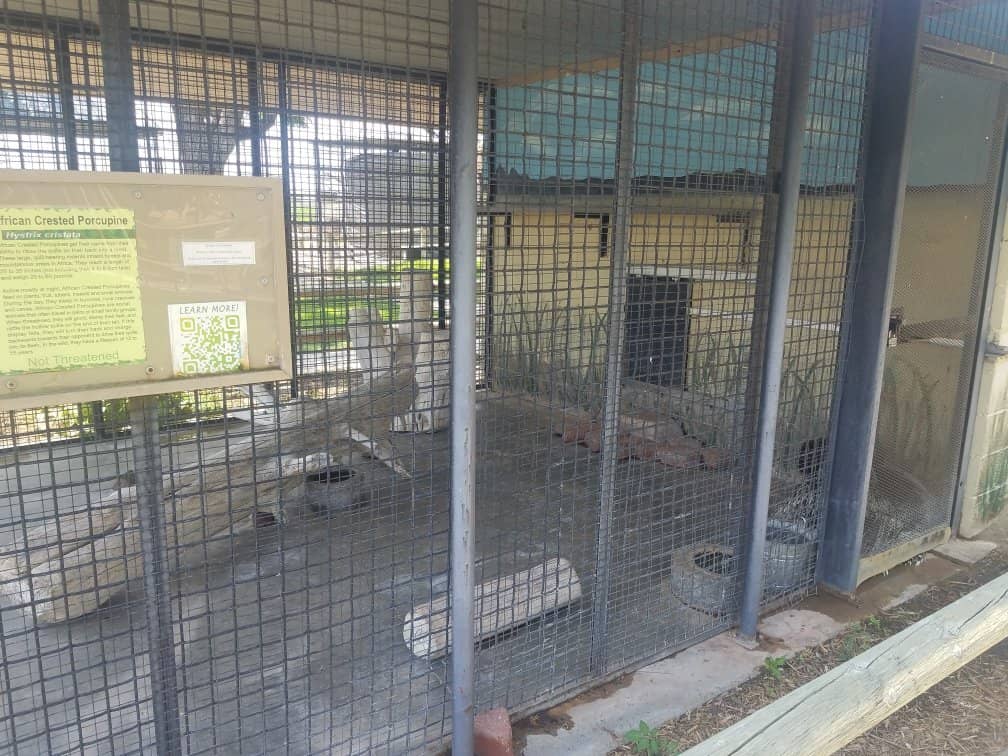 Walk-Through Aviary Wonders