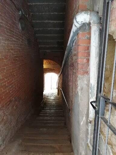 Florentine School Masterpieces