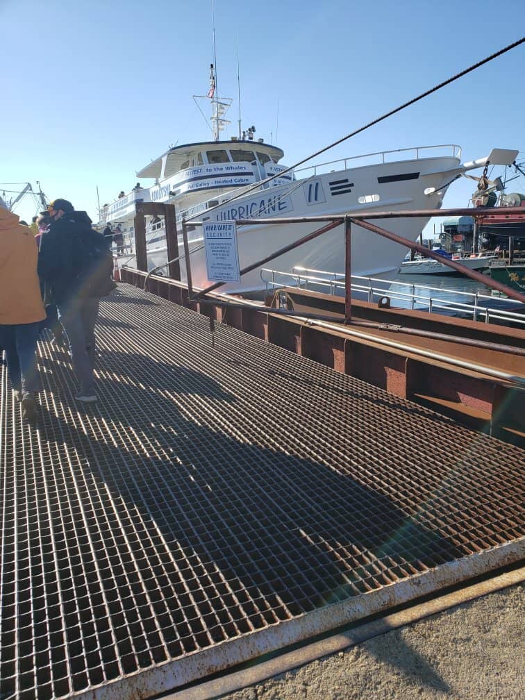 Stellwagen Bank Marine Sanctuary