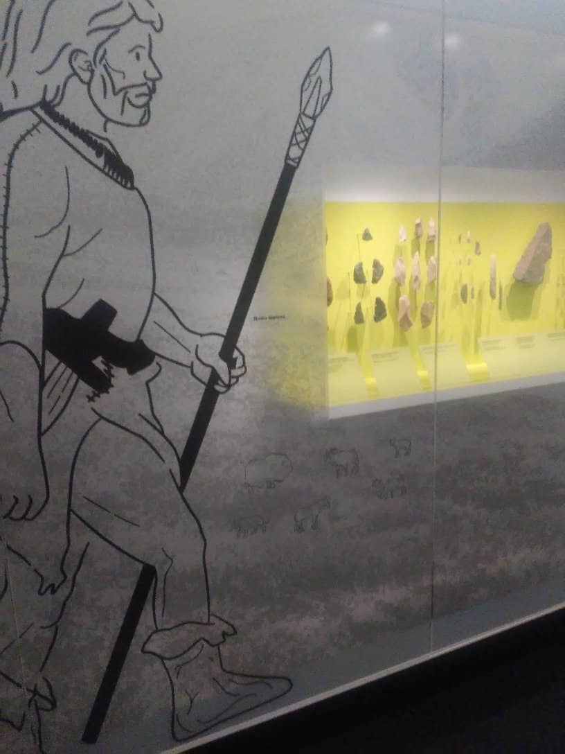 Princely Collections