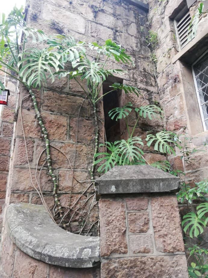 Birdwatching Paradise