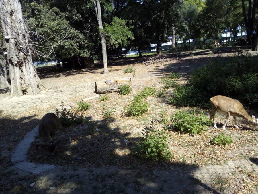 BBQ & Picnic Spots