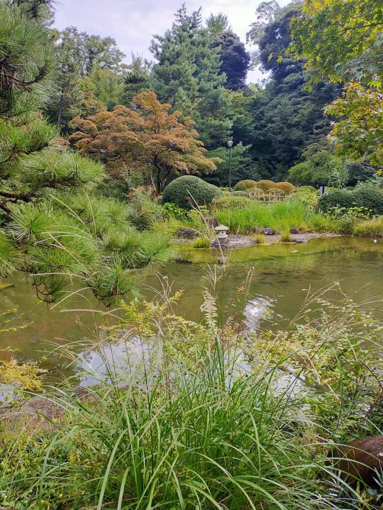 Autumn Foliage