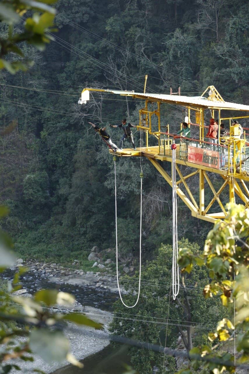 Flying Fox