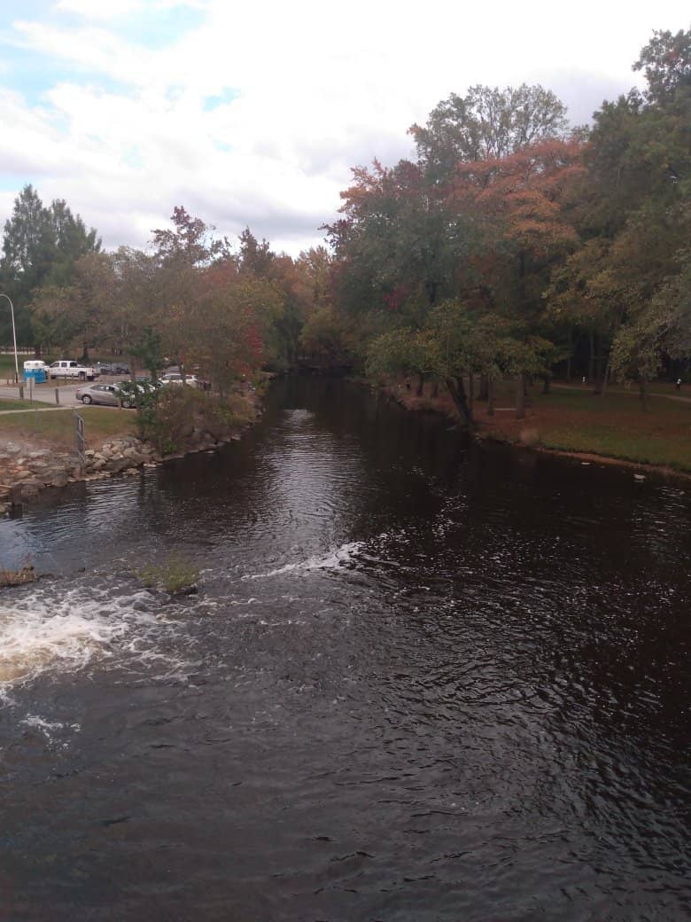 Waterside Relaxation