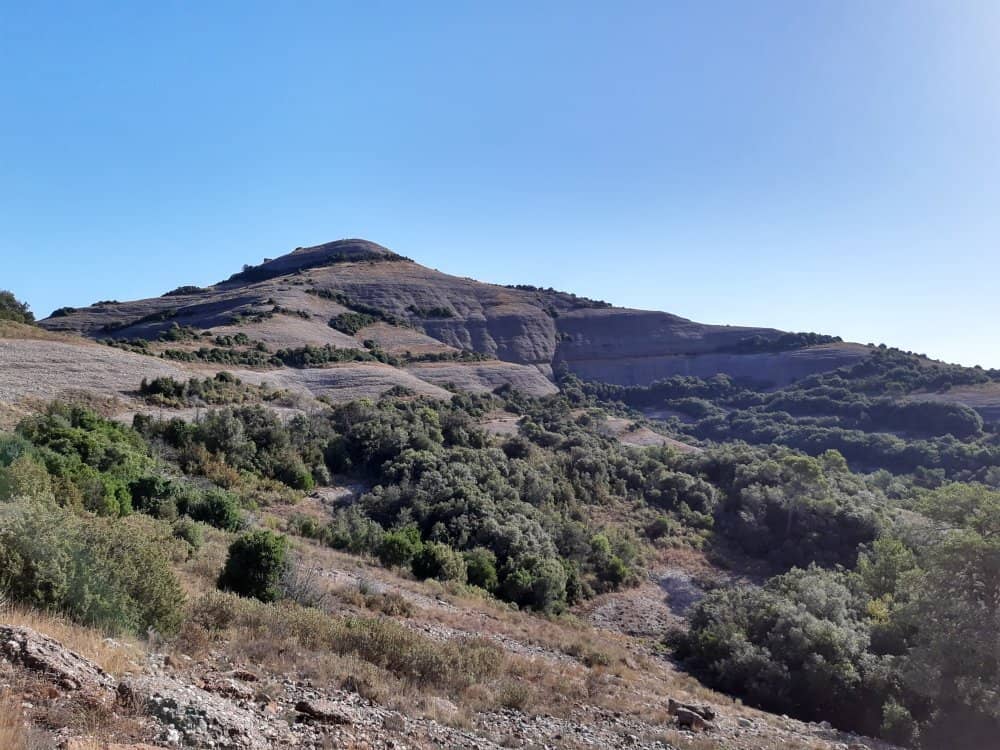 Panoramic Views