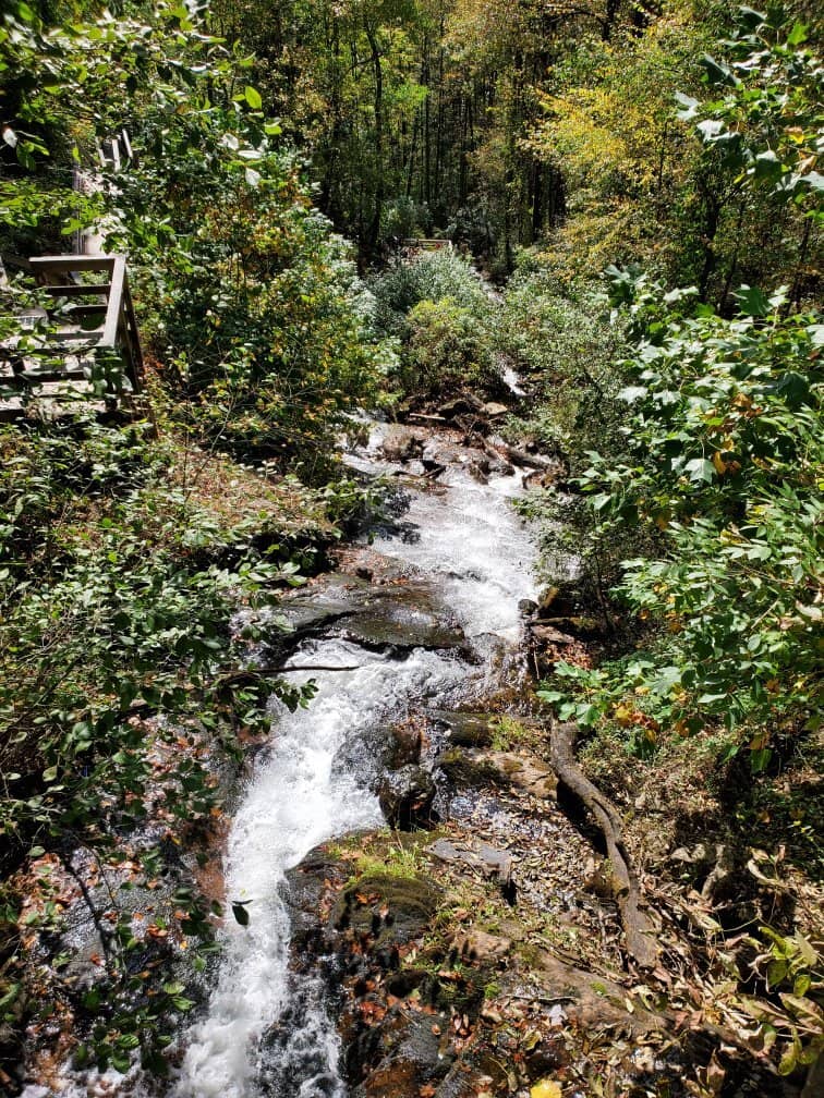 Appalachian Trail Southern Terminus