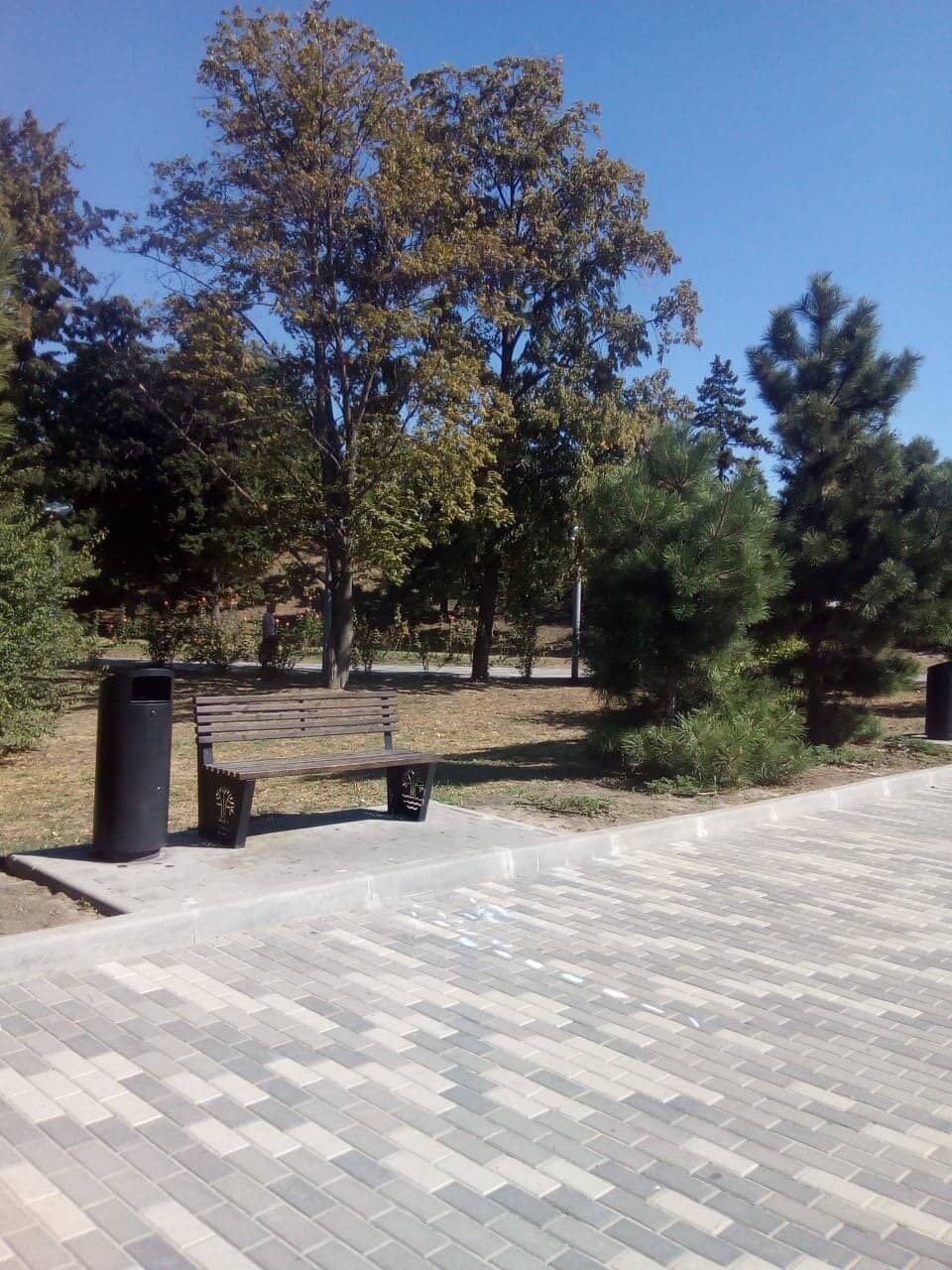 Diverse Animal Encounters