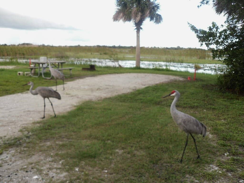 Paved Nature Trails
