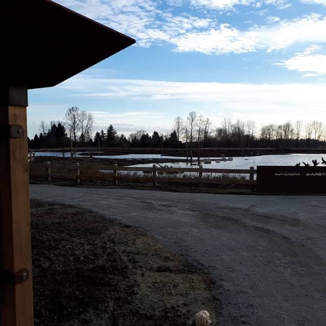 Blakeburn Lagoons Park (2026) – Best of TikTok, Instagram & Reddit ...