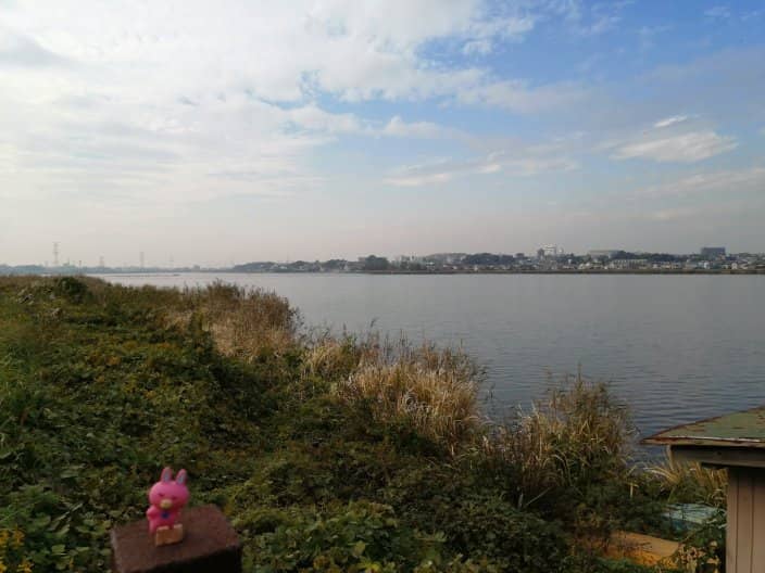 Lakeside Cycle Path