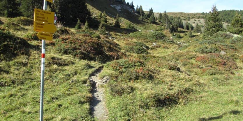 Weisshorn Summit Panorama