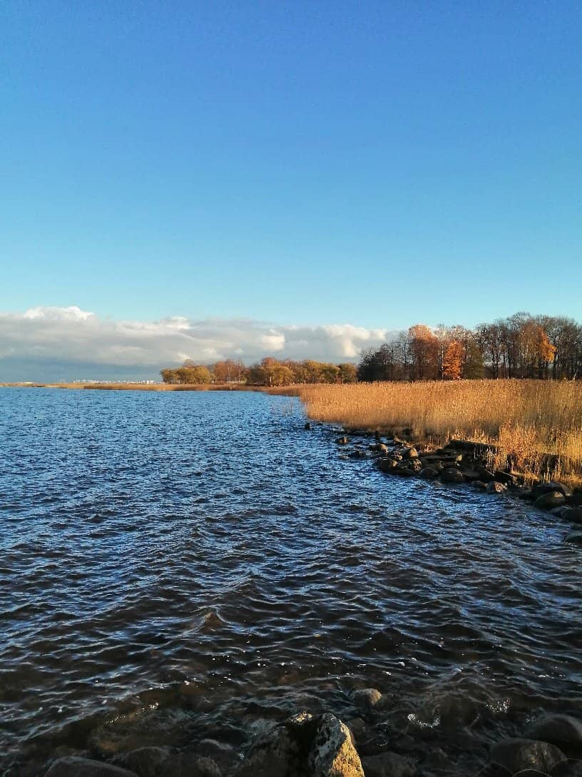 Metropolitan Choir Performance