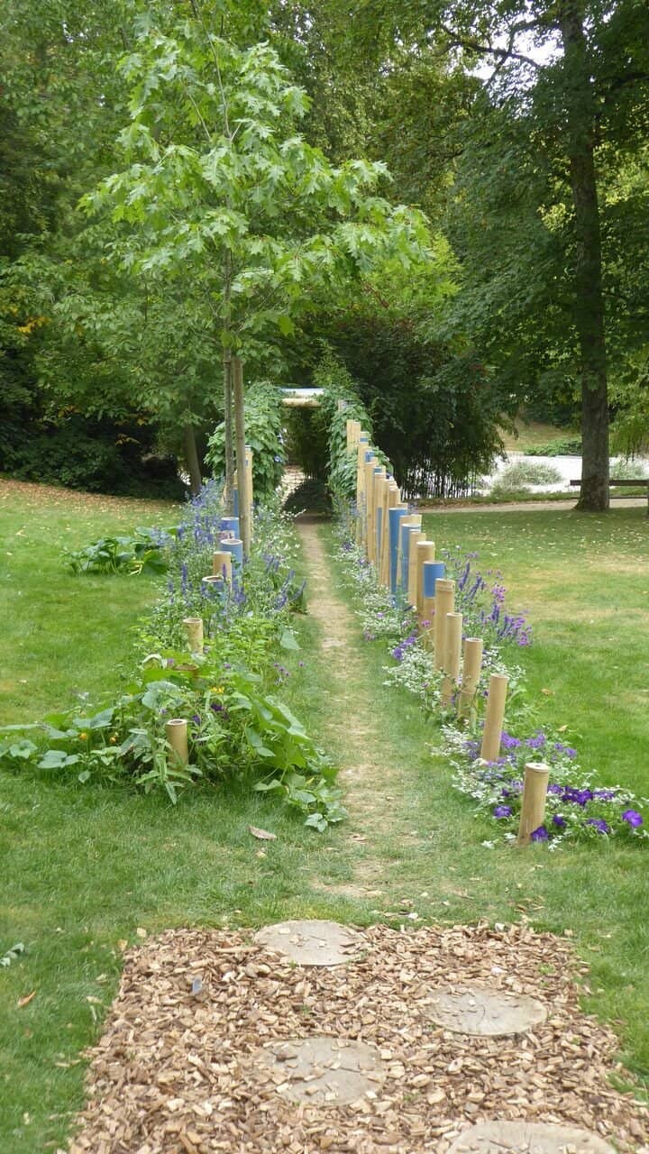 Peaceful Pond and Fish