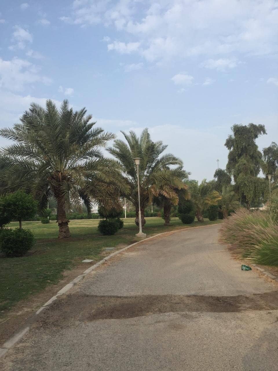 Accessible Playground