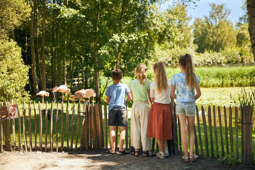 Sand Sculptures (Seasonal)