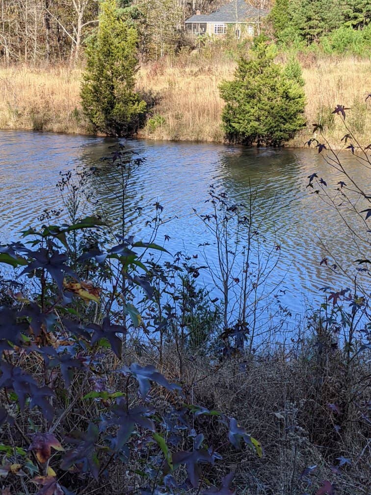 Wildlife Viewing
