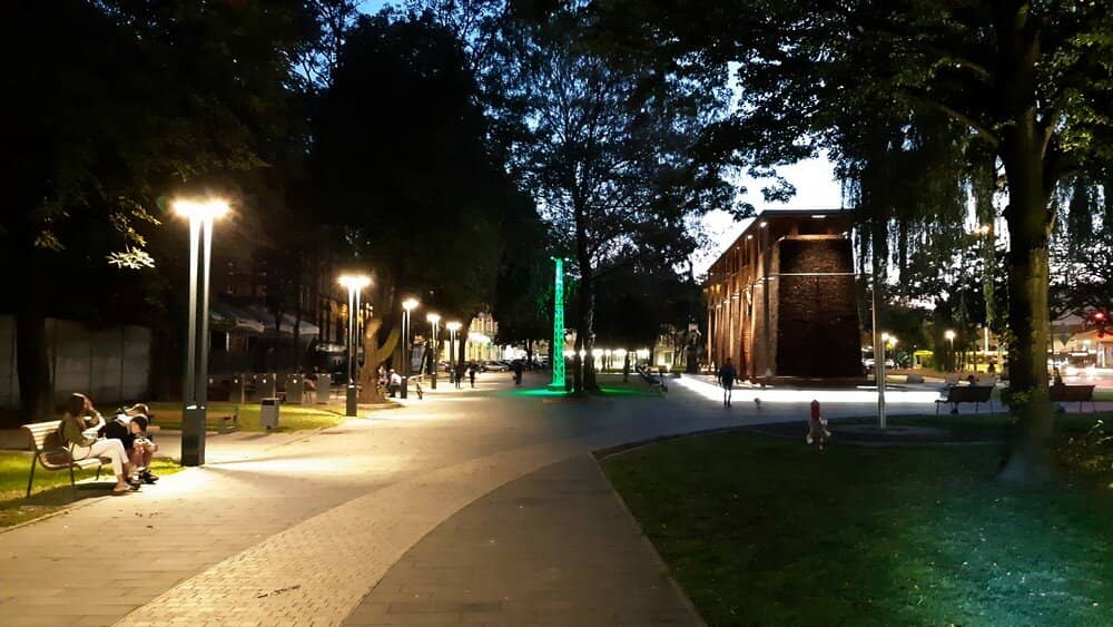 Mexican Culinary Delights