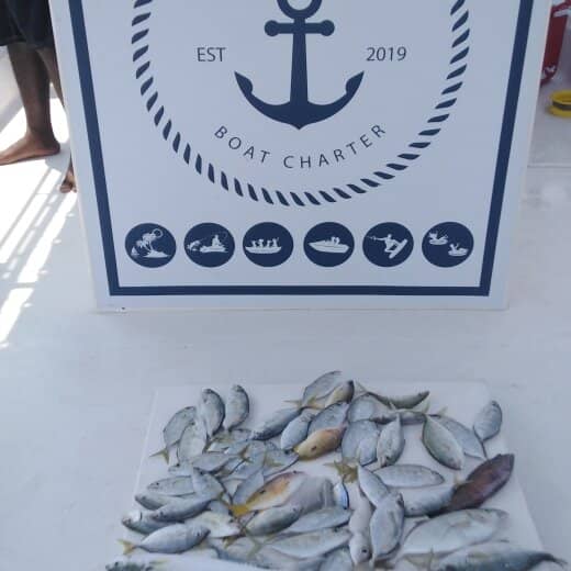 Pristine Sandy Shores