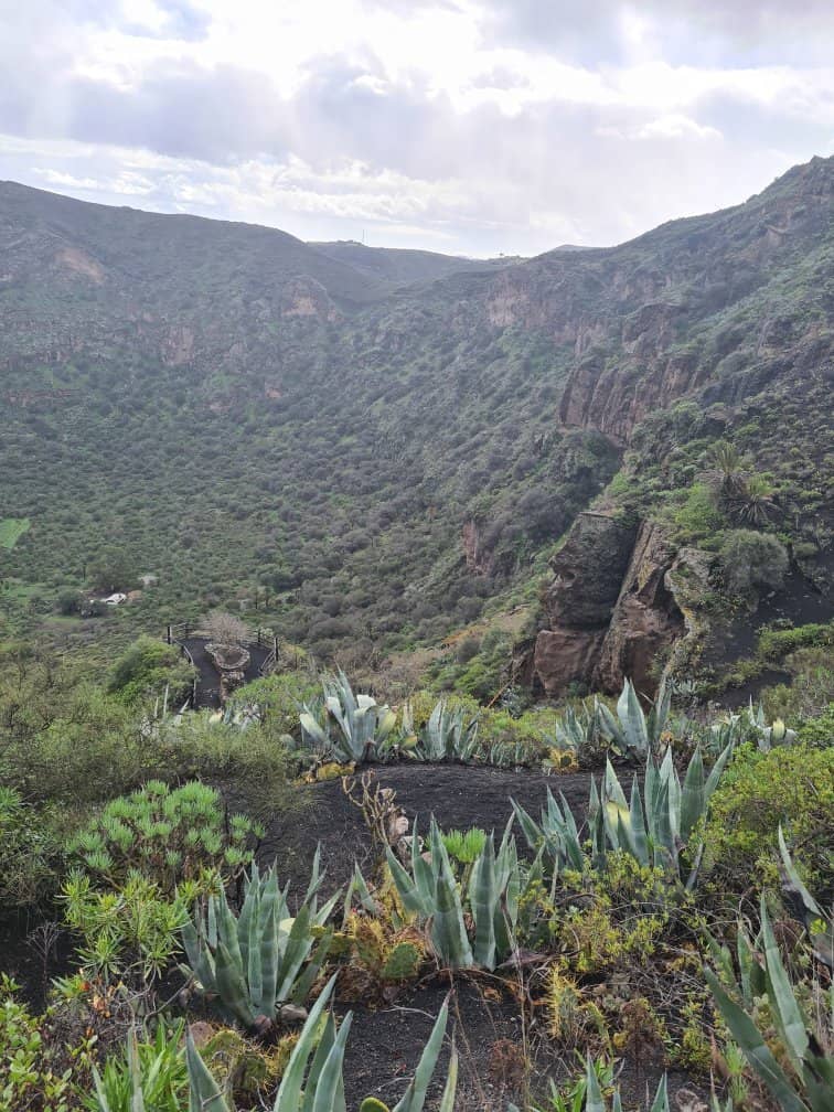 Mirador de Bandama