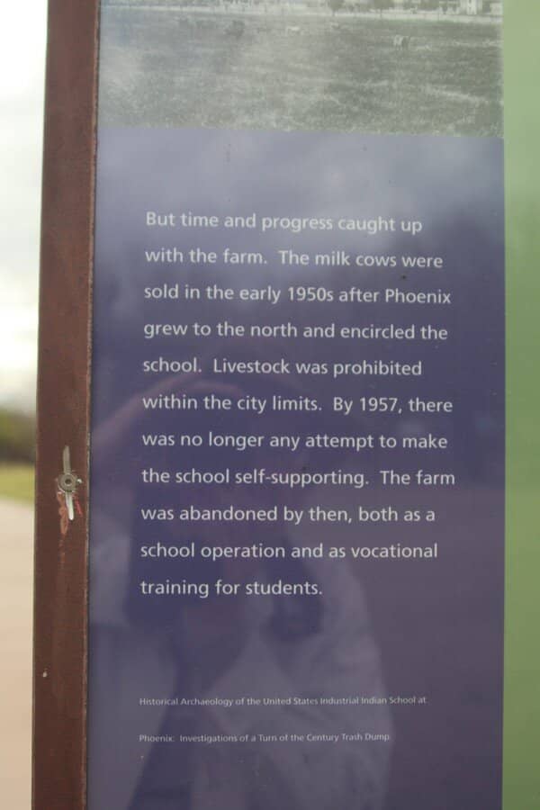 Spacious Playgrounds & Courts